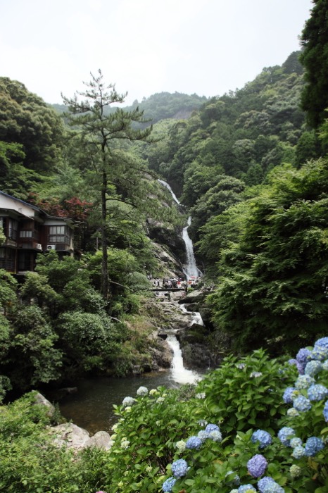 初夏の見帰りの滝